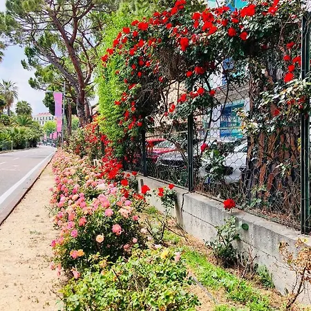 Mare E Relax Portosole