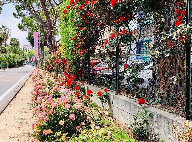 Mare E Relax Portosole